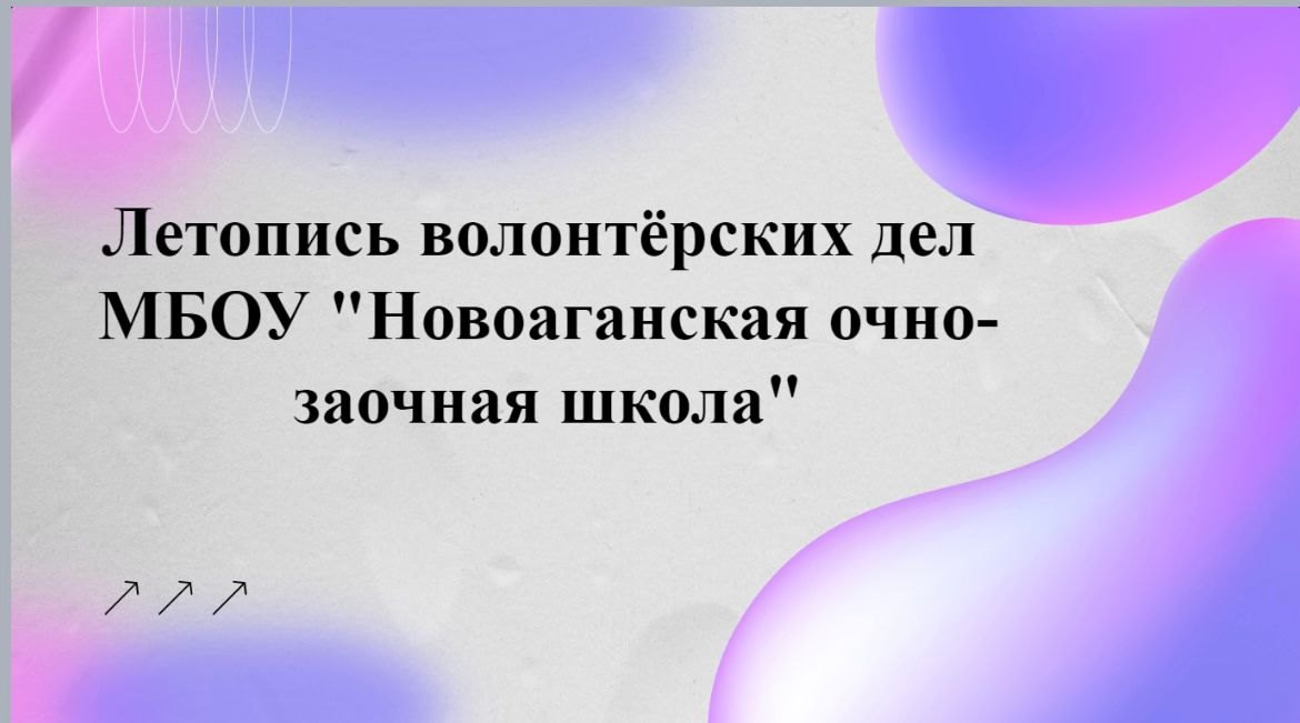 Летопись волонтерских дел НОЗШ.